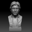 Capture d’écran 2018-04-05 à 11.42.11.png Archivo OBJ gratis Busto de Han Solo・Modelo para descargar y imprimir en 3D