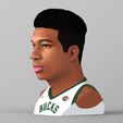 untitled.1934.jpg Giannis Antetokounmpo bust ready for full color 3D printing