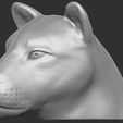 13.jpg Lioness head for 3D printing