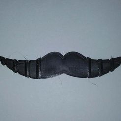 20200612_215419.jpg Sauveur d'oreilles à moustache