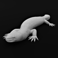 12-min.png Gila Monster Lizard - Realistc Venomous Reptile