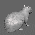 capibara04.png Seated Capybara Sculpture