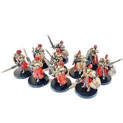 Custom_SoS_Black_Fleet_Guard_Painted_4.jpg STL file CUSTOM CUSTODES SISTERS OF SILENCE - CASSOWARY (GUARD)・Model to download and 3D print