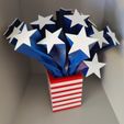 IMG20230401145334.jpg Stars and Stipes. US Flag sculpture/decoration