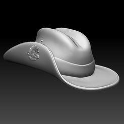 87687.jpg Fichier STL cap australien・Modèle pour impression 3D à télécharger