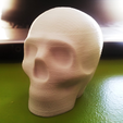 Capture_d_e_cran_2015-12-16_a__18.25.03.png Fichier STL gratuit Lisa the printable skull・Objet imprimable en 3D à télécharger