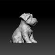 dog3.jpg Dog - cute dog - toy for kids - decorative dog 3d model for download