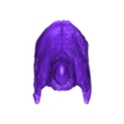 Skull_Part_03.stl Esqueleto de una cría de Triceratops Parte01/07