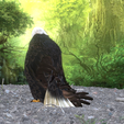 0_00031.png Eagle Eagle - DOWNLOAD Eagle 3d Model - Animated for Blender-Fbx-Unity-Maya-Unreal-C4d-3ds Max - 3D Printing Eagle Eagle BIRD - DINOSAUR - POKÉMON - PREDATOR - SKY - MONSTER