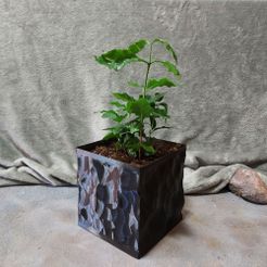 84c1c660-2946-45a6-b5ae-0eab311172d9.jpg Free 3D file Square Vase Planter - Obsidian Style・3D printing model to download