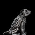 Skeleton-Pet-Figurines-7.jpg Skeleton Pet Figurines