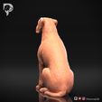 Boxer-Pose-05-Dog-3D-Print-6s.jpeg Chien Boxer Modèle imprimé en 3D Pose 05