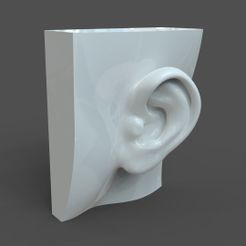SH_model1_detail0c.205.jpg Realistic lifesize female ear