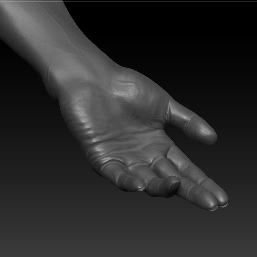 💪 human arm・ OBJ File for ・Cults