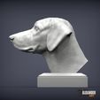 rhodesian-ridgeback-bust2.jpg Rhodesian ridgeback bust 3D print model