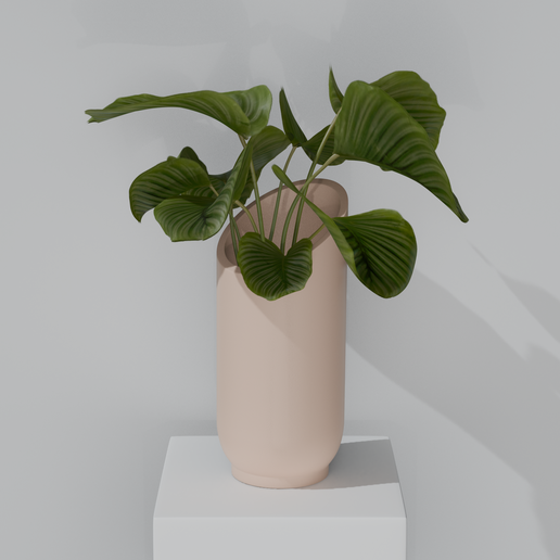 r1,2k.png Designed tilted planter