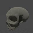e0e96cd2-1d95-4617-bbaf-104c25162fb8.jpg Vampire Skull