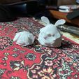 photo_2025-09-22_19-19-00.jpg Lost Fleas (Hollow Knight: Silksong)
