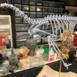 received_653647713230412.jpeg Archaeopteryx life size skeleton
