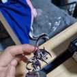 FREE SPACE MANTIS OCTOPUS