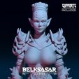 09.jpg Demoness Punisher Normal and Topless 3D print model