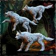 EE-Beastmasters7.jpg Evergreen Elves Beastmasters