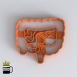 6.jpg CUTTING MOULD OF FONDANT BISCUITS OF HUMAN BODY ORGANS INTESTINE 3D IMPRESSION MODEL