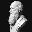 07.jpg Charles Darwin portrait sculpture 3D print model