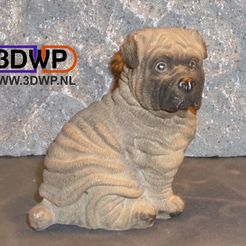 Shar-Pei.jpg STL file Shar Pei Puppy Sculpture (Dog Statue 3D Scan)・3D printing design to download, 3DWP