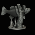peacock-bass-trophy-natural-2-2-22.png Peacock bass (Cichla ocellaris) fish trophy in motion sculpture 2 underwater detailed texture for 3d printing