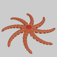 Etoile8.png Starfish with eight articulated arms