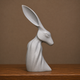print.png Decorative Rabbit