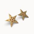foto-arete-estrella-1-1.jpg star earrings