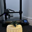 this-design-is-perfect-for-any-space.jpg Planter | Lamp with Rotating Lid Switch | Functional & Decorative 3D Print