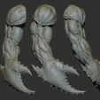 30.jpg 25 Creature arms 3D model ZTL+OBJ+STL