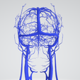 vein,-artery,-cerebrovascular,-brain,-face,-hemisphere,-willis,-dental,-neck,-head,-cerebellum,-vasc.png 3D 头颈部血管解剖图 - 动脉、静脉和脑血管系统