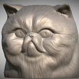 Zrzut-ekranu-2025-06-14-111257.png Persian cat head for 3D printing