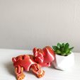 WhatsApp-Image-2023-05-11-at-8.11.56-AM-3.jpeg STL-Datei Hippo Flexi-Läufer・3D-druckbare Vorlage zum herunterladen