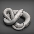 hognose-snakes4.jpg Hognose snakes 3D print model