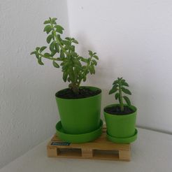 WIN_20180916_10_32_13_Pro.jpg Free STL file Plant Pot/Plant Pot Saucer・3D printable object to download