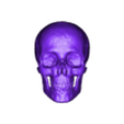Craneo.stl Human skull/skull