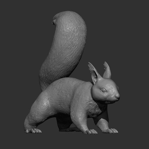squirrel7.jpg Squirrel 3D print model
