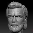 Screenshot_1.jpg Obi-wan Kenobi Head -Series 2022 Printable 3D printing