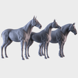 0001.png Three Horse Breeds