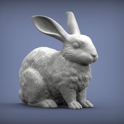 Rabbit1.jpg 3D-Datei Kaninchen 3D-Druckmodell・3D-Druck-Idee zum Herunterladen