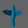 colibri-03.png colibri volando - flying humming bird
