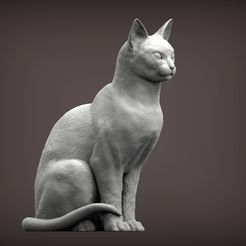 abyssinian-cat1.jpg abyssinian cat 3D print model