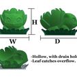 Bulbasaur-Dimensions_-_Copy.jpg Blooming Bulbasaur Planter With Leaf Drainage Tray