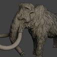 Mammoth-P3-0012.jpg Mammoth P3