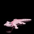 Gecko4.jpg Osga